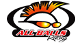 All-Balls Kit Revisione Off-Road