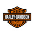 Scarichi Harley Davidson